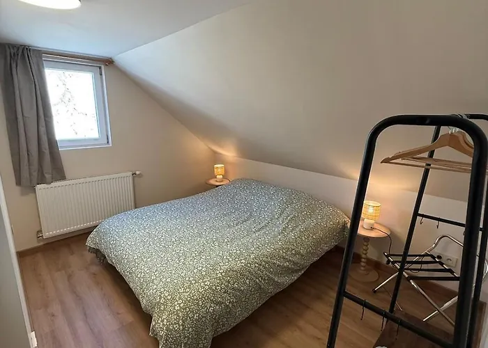 Proche Europa-park Au Fil Du Rhin Apartment Marckolsheim