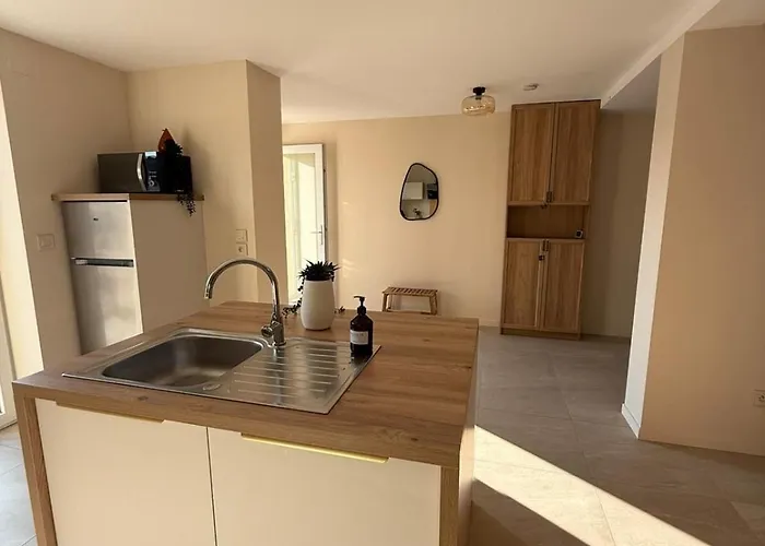 Proche Europa-park Au Fil Du Rhin Apartment *