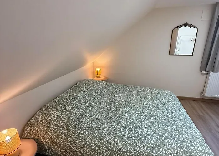 Proche Europa-park Au Fil Du Rhin Apartment